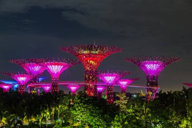Singapur - 23 Haziran 2018: Supertree Grove Gardens Körfez Marina Bay Sands hotel yaz geceleri yakınındaki Singapur'da