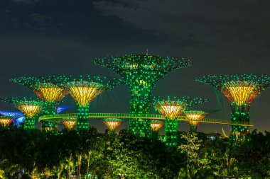 Singapur - 23 Haziran 2018: Supertree Grove Gardens Körfez Marina Bay Sands hotel yaz geceleri yakınındaki Singapur'da