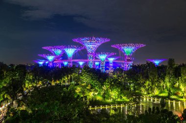 Singapur - 23 Haziran 2018: Supertree Grove Gardens Körfez Marina Bay Sands hotel yaz geceleri yakınındaki Singapur'da
