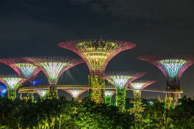 Singapur - 23 Haziran 2018: Supertree Grove Gardens Körfez Marina Bay Sands hotel yaz geceleri yakınındaki Singapur'da