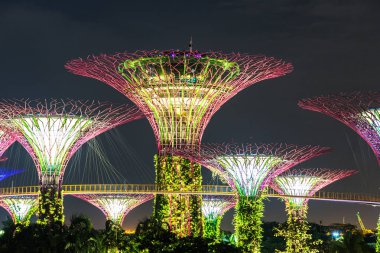 Singapur - 23 Haziran 2018: Supertree Grove Gardens Körfez Marina Bay Sands hotel yaz geceleri yakınındaki Singapur'da