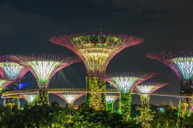 Singapur - 23 Haziran 2018: Supertree Grove Gardens Körfez Marina Bay Sands hotel yaz geceleri yakınındaki Singapur'da