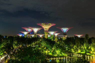 Singapur - 23 Haziran 2018: Supertree Grove Gardens Körfez Marina Bay Sands hotel yaz geceleri yakınındaki Singapur'da