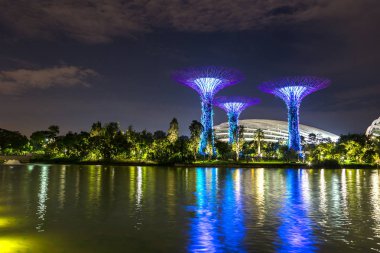 Singapur - 23 Haziran 2018: Supertree Grove Gardens koy ve Marina Bay Sands hotel yaz geceleri yakınlarında Singapur serada tarafından