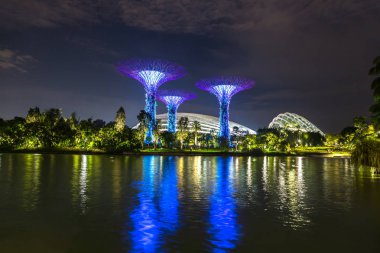 Singapur - 23 Haziran 2018: Supertree Grove Gardens koy ve Marina Bay Sands hotel yaz geceleri yakınlarında Singapur serada tarafından