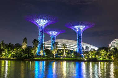 Singapur - 23 Haziran 2018: Supertree Grove Gardens koy ve Marina Bay Sands hotel yaz geceleri yakınlarında Singapur serada tarafından