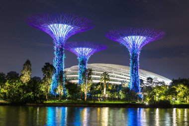 Singapur - 23 Haziran 2018: Supertree Grove Gardens koy ve Marina Bay Sands hotel yaz geceleri yakınlarında Singapur serada tarafından