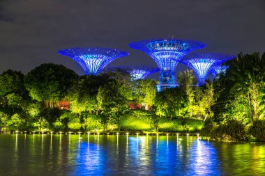 Singapur - 23 Haziran 2018: Supertree Grove Gardens Körfez Marina Bay Sands hotel yaz geceleri yakınındaki Singapur'da