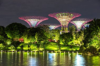 Singapur - 23 Haziran 2018: Supertree Grove Gardens Körfez Marina Bay Sands hotel yaz geceleri yakınındaki Singapur'da