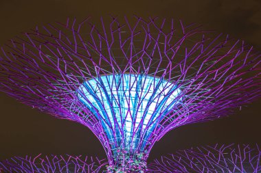 Singapur - 23 Haziran 2018: Supertree Grove Gardens Körfez Marina Bay Sands hotel yaz geceleri yakınındaki Singapur'da