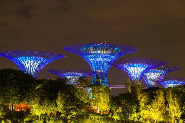 Singapur - 23 Haziran 2018: Supertree Grove Gardens Körfez Marina Bay Sands hotel yaz geceleri yakınındaki Singapur'da