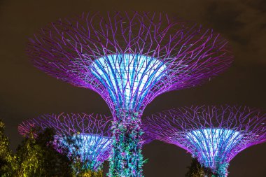 Singapur - 23 Haziran 2018: Supertree Grove Gardens Körfez Marina Bay Sands hotel yaz geceleri yakınındaki Singapur'da