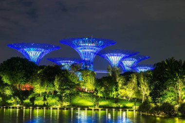 Singapur - 23 Haziran 2018: Supertree Grove Gardens Körfez Marina Bay Sands hotel yaz geceleri yakınındaki Singapur'da