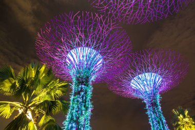 Singapur - 23 Haziran 2018: Supertree Grove Gardens Körfez Marina Bay Sands hotel yaz geceleri yakınındaki Singapur'da