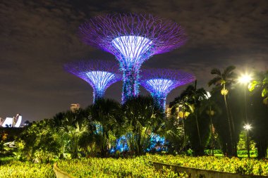 Singapur - 23 Haziran 2018: Supertree Grove Gardens Körfez Marina Bay Sands hotel yaz geceleri yakınındaki Singapur'da