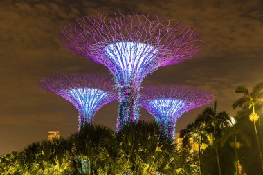 Singapur - 23 Haziran 2018: Supertree Grove Gardens Körfez Marina Bay Sands hotel yaz geceleri yakınındaki Singapur'da