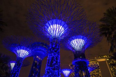 Singapur - 23 Haziran 2018: Supertree Grove Gardens Körfez Marina Bay Sands hotel yaz geceleri yakınındaki Singapur'da