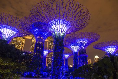 Singapur - 23 Haziran 2018: Supertree Grove Gardens Körfez Marina Bay Sands hotel yaz geceleri yakınındaki Singapur'da