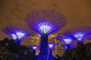 Singapur - 23 Haziran 2018: Supertree Grove Gardens Körfez Marina Bay Sands hotel yaz geceleri yakınındaki Singapur'da