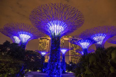 Singapur - 23 Haziran 2018: Supertree Grove Gardens Körfez Marina Bay Sands hotel yaz geceleri yakınındaki Singapur'da