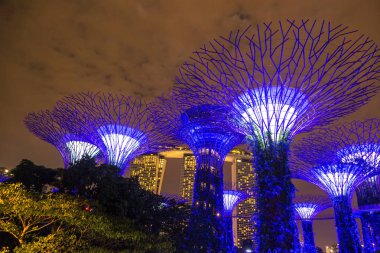 Singapur - 23 Haziran 2018: Supertree Grove Gardens Körfez Marina Bay Sands hotel yaz geceleri yakınındaki Singapur'da