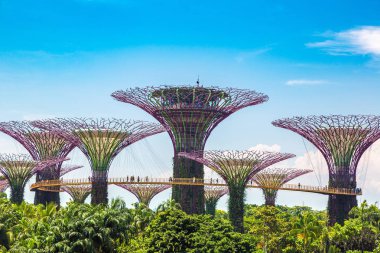 SINGAPORE - 23 Haziran 2018 'de Marina Körfezi Sands Oteli yakınlarındaki Singapur Körfezi yakınlarındaki Gardens' taki Supertree Grove