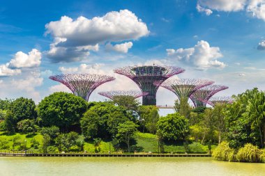SINGAPORE - 23 Haziran 2018 'de Marina Körfezi Sands Oteli yakınlarındaki Singapur Körfezi yakınlarındaki Gardens' taki Supertree Grove