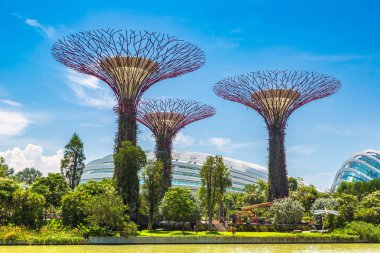 Singapur - 23 Haziran 2018: Supertree Grove Gardens koy ve Marina Bay Sands hotel yaz günü adlı yakınlarında Singapur serada tarafından