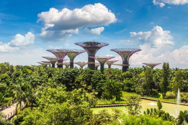 SINGAPORE - 23 Haziran 2018 'de Marina Körfezi Sands Oteli yakınlarındaki Singapur Körfezi yakınlarındaki Gardens' taki Supertree Grove