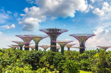 SINGAPORE - 23 Haziran 2018 'de Marina Körfezi Sands Oteli yakınlarındaki Singapur Körfezi yakınlarındaki Gardens' taki Supertree Grove
