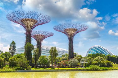 Singapur - 23 Haziran 2018: Supertree Grove Gardens koy ve Marina Bay Sands hotel yaz günü adlı yakınlarında Singapur serada tarafından