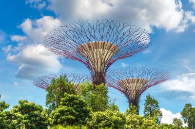 SINGAPORE - 23 Haziran 2018 'de Marina Körfezi Sands Oteli yakınlarındaki Singapur Körfezi yakınlarındaki Gardens' taki Supertree Grove