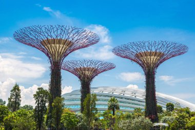 Singapur - 23 Haziran 2018: Supertree Grove Gardens koy ve Marina Bay Sands hotel yaz günü adlı yakınlarında Singapur serada tarafından