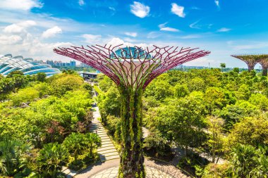 SINGAPORE - 23 Haziran 2018 'de Marina Körfezi Sands Oteli yakınlarındaki Singapur Körfezi yakınlarındaki Gardens' taki Supertree Grove