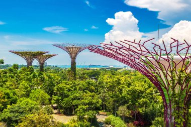 SINGAPORE - 23 Haziran 2018 'de Marina Körfezi Sands Oteli yakınlarındaki Singapur Körfezi yakınlarındaki Gardens' taki Supertree Grove