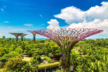 SINGAPORE - 23 Haziran 2018 'de Marina Körfezi Sands Oteli yakınlarındaki Singapur Körfezi yakınlarındaki Gardens' taki Supertree Grove