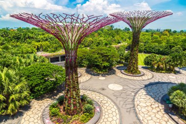 SINGAPORE - 23 Haziran 2018 'de Marina Körfezi Sands Oteli yakınlarındaki Singapur Körfezi yakınlarındaki Gardens' taki Supertree Grove
