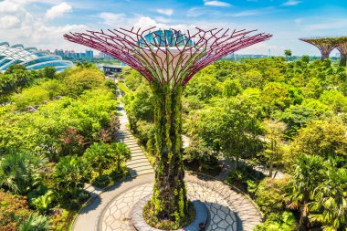 SINGAPORE - 23 Haziran 2018 'de Marina Körfezi Sands Oteli yakınlarındaki Singapur Körfezi yakınlarındaki Gardens' taki Supertree Grove