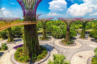 Singapur - 23 Haziran 2018: Supertree Grove Gardens Körfez Marina Bay Sands hotel yaz geceleri yakınındaki Singapur geçit