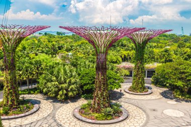 SINGAPORE - 23 Haziran 2018 'de Marina Körfezi Sands Oteli yakınlarındaki Singapur Körfezi yakınlarındaki Gardens' taki Supertree Grove