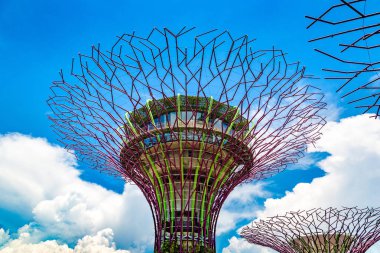 SINGAPORE - 23 Haziran 2018 'de Marina Körfezi Sands Oteli yakınlarındaki Singapur Körfezi yakınlarındaki Gardens' taki Supertree Grove