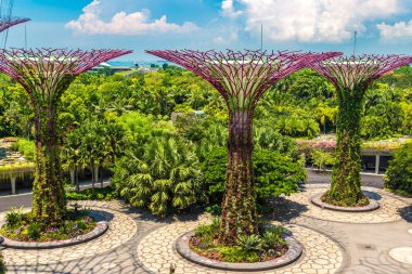 SINGAPORE - 23 Haziran 2018 'de Marina Körfezi Sands Oteli yakınlarındaki Singapur Körfezi yakınlarındaki Gardens' taki Supertree Grove