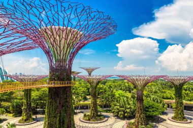 Singapur - 23 Haziran 2018: Supertree Grove Gardens Körfez Marina Bay Sands hotel yaz geceleri yakınındaki Singapur geçit