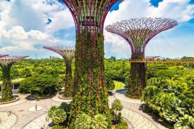SINGAPORE - 23 Haziran 2018 'de Marina Körfezi Sands Oteli yakınlarındaki Singapur Körfezi yakınlarındaki Gardens' taki Supertree Grove