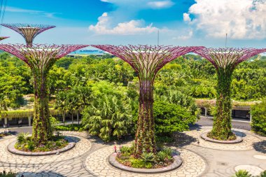 SINGAPORE - 23 Haziran 2018 'de Marina Körfezi Sands Oteli yakınlarındaki Singapur Körfezi yakınlarındaki Gardens' taki Supertree Grove