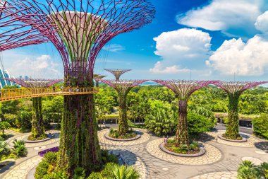 Singapur - 23 Haziran 2018: Supertree Grove Gardens Körfez Marina Bay Sands hotel yaz geceleri yakınındaki Singapur geçit