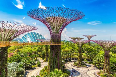 Singapur - 23 Haziran 2018: Supertree Grove Gardens Körfez Marina Bay Sands hotel yaz geceleri yakınındaki Singapur geçit