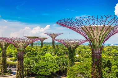 SINGAPORE - 23 Haziran 2018 'de Marina Körfezi Sands Oteli yakınlarındaki Singapur Körfezi yakınlarındaki Gardens' taki Supertree Grove