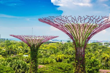 SINGAPORE - 23 Haziran 2018 'de Marina Körfezi Sands Oteli yakınlarındaki Singapur Körfezi yakınlarındaki Gardens' taki Supertree Grove
