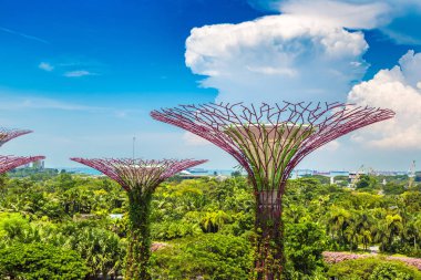 SINGAPORE - 23 Haziran 2018 'de Marina Körfezi Sands Oteli yakınlarındaki Singapur Körfezi yakınlarındaki Gardens' taki Supertree Grove